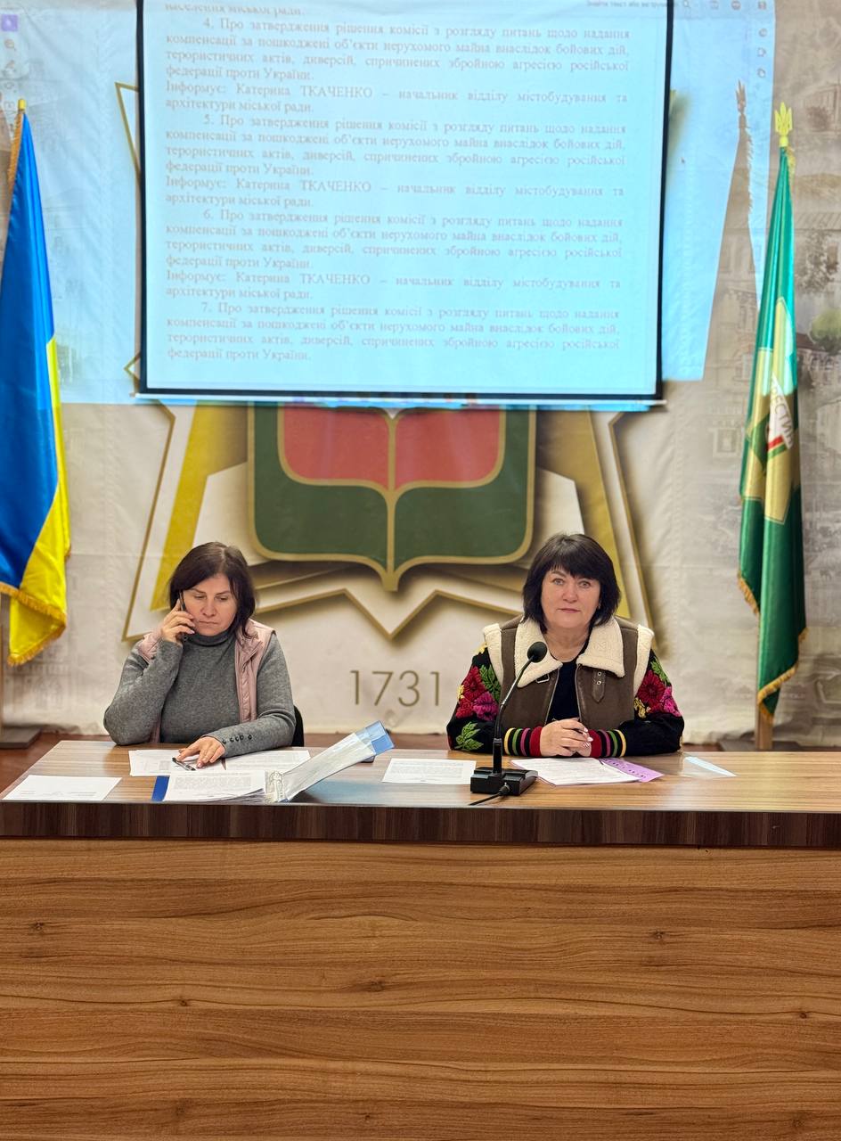 Чергове засідання виконавчого комітету