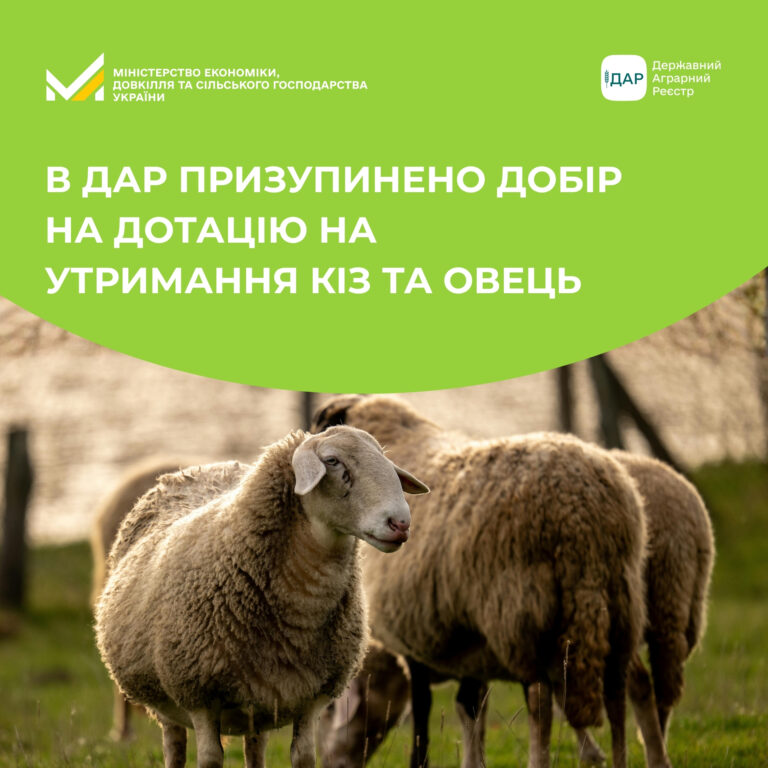 В ДАР призупинено добір на дотацію на утримання кіз та овець