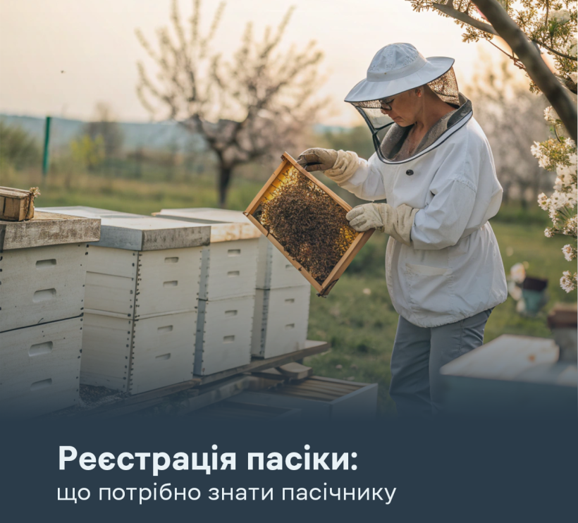 Реєстрація пасіки: що потрібно знати пасічнику